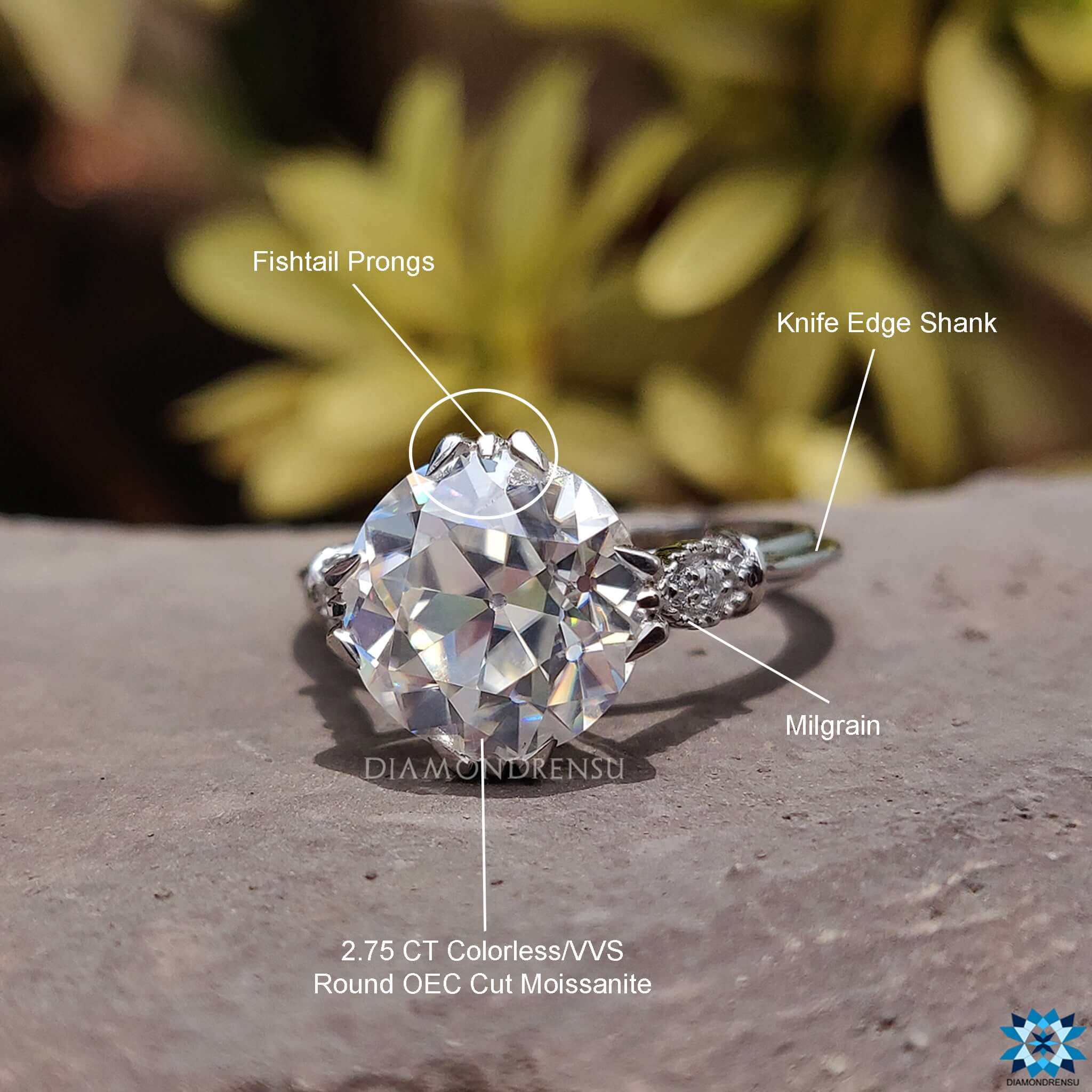 affordable moissanite engagement rings - diamondrensu