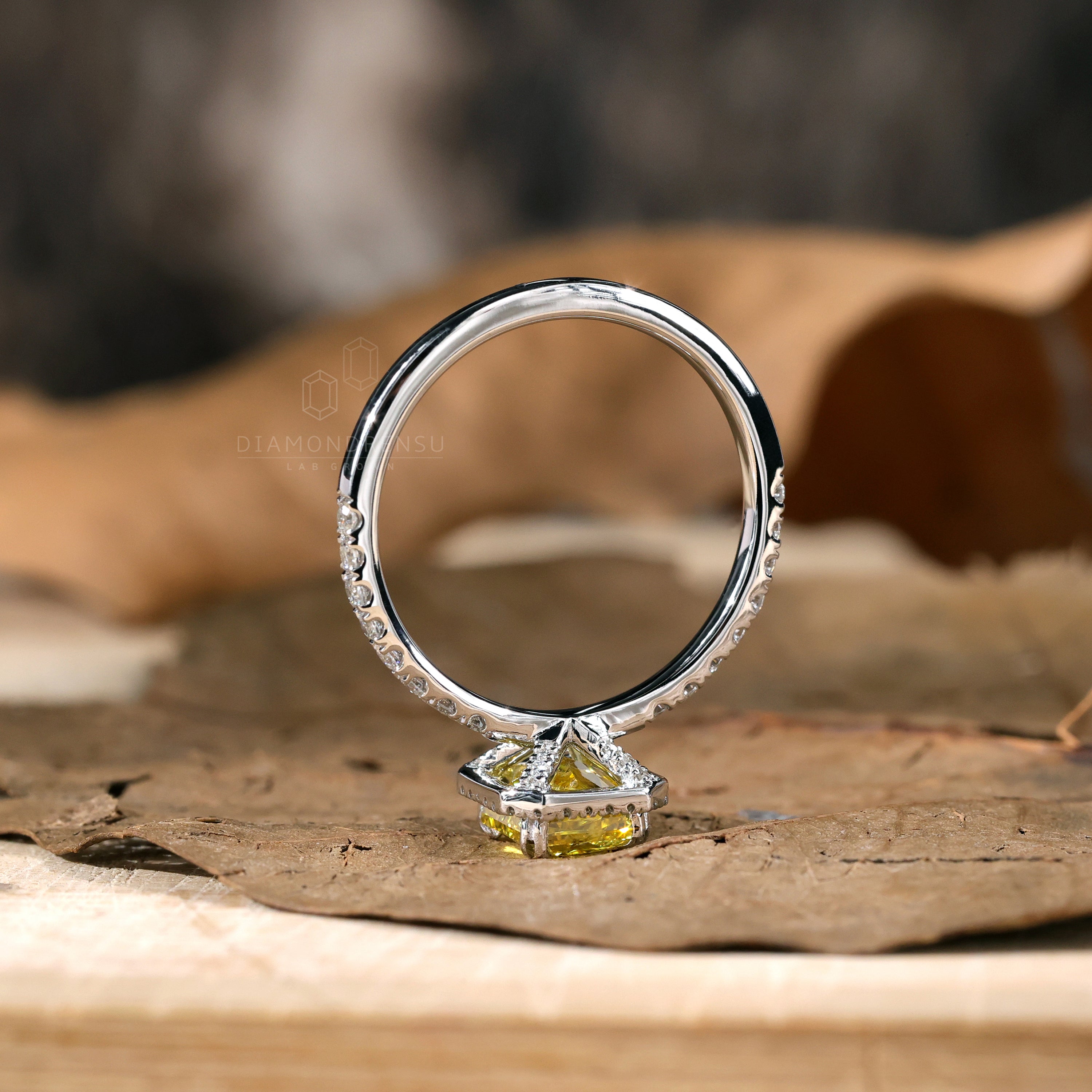 halo engagement ring - diamondrensu