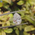 5.43 CT Pear Cut Colorless Loose Moissanite for Engagement Ring